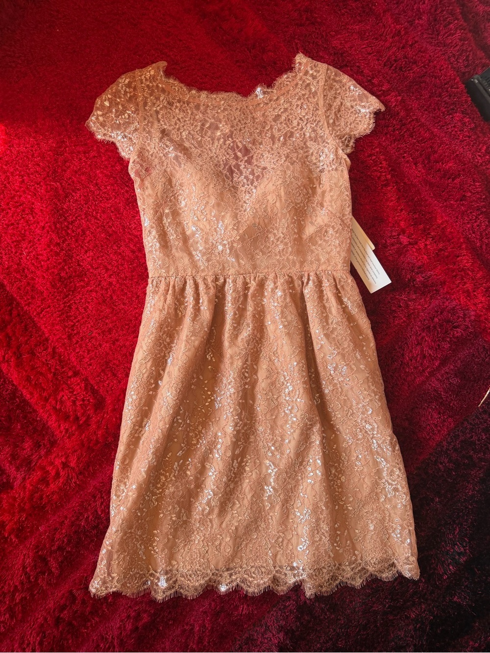 Aidan Mattox Lace Dress in Blush Pink